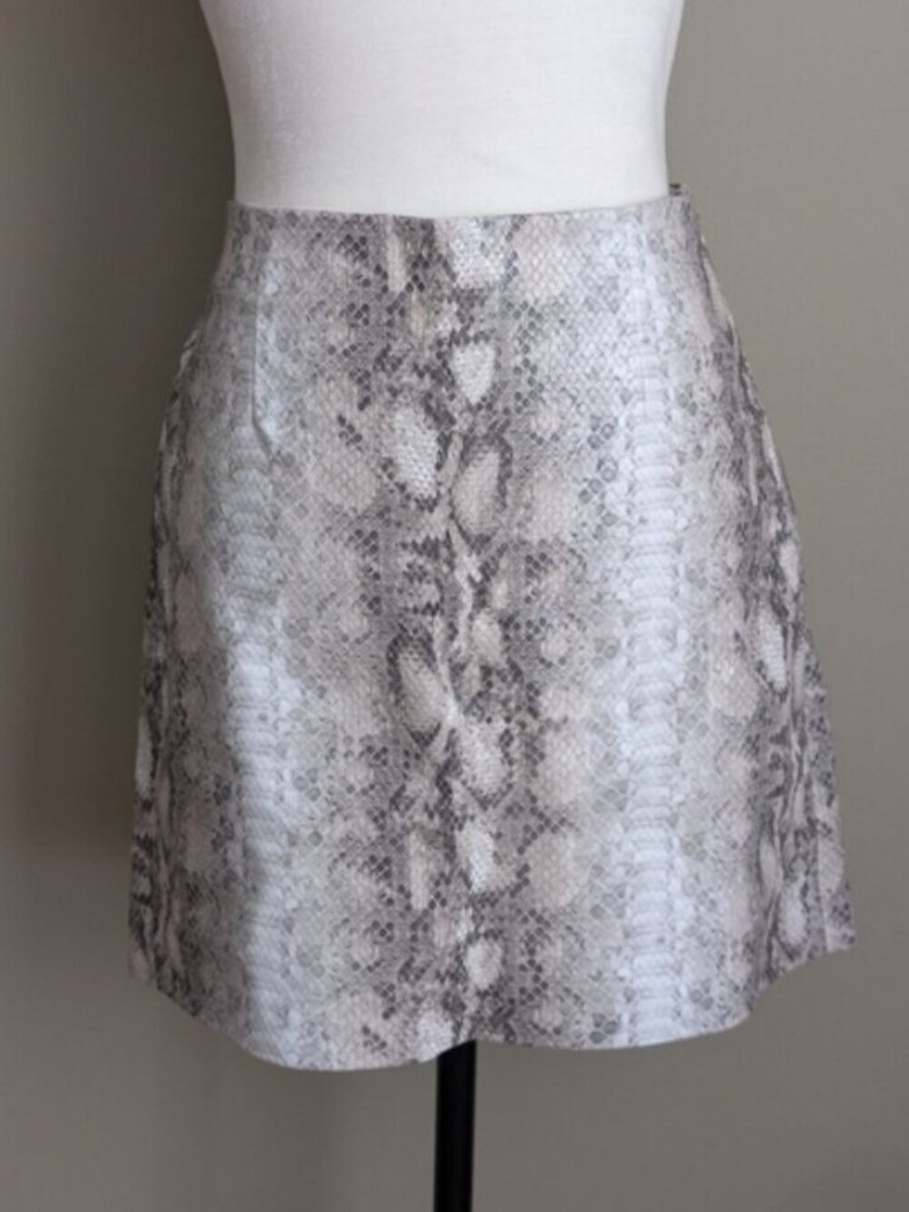 Dynamite faux leather snakeskin print mini skirt